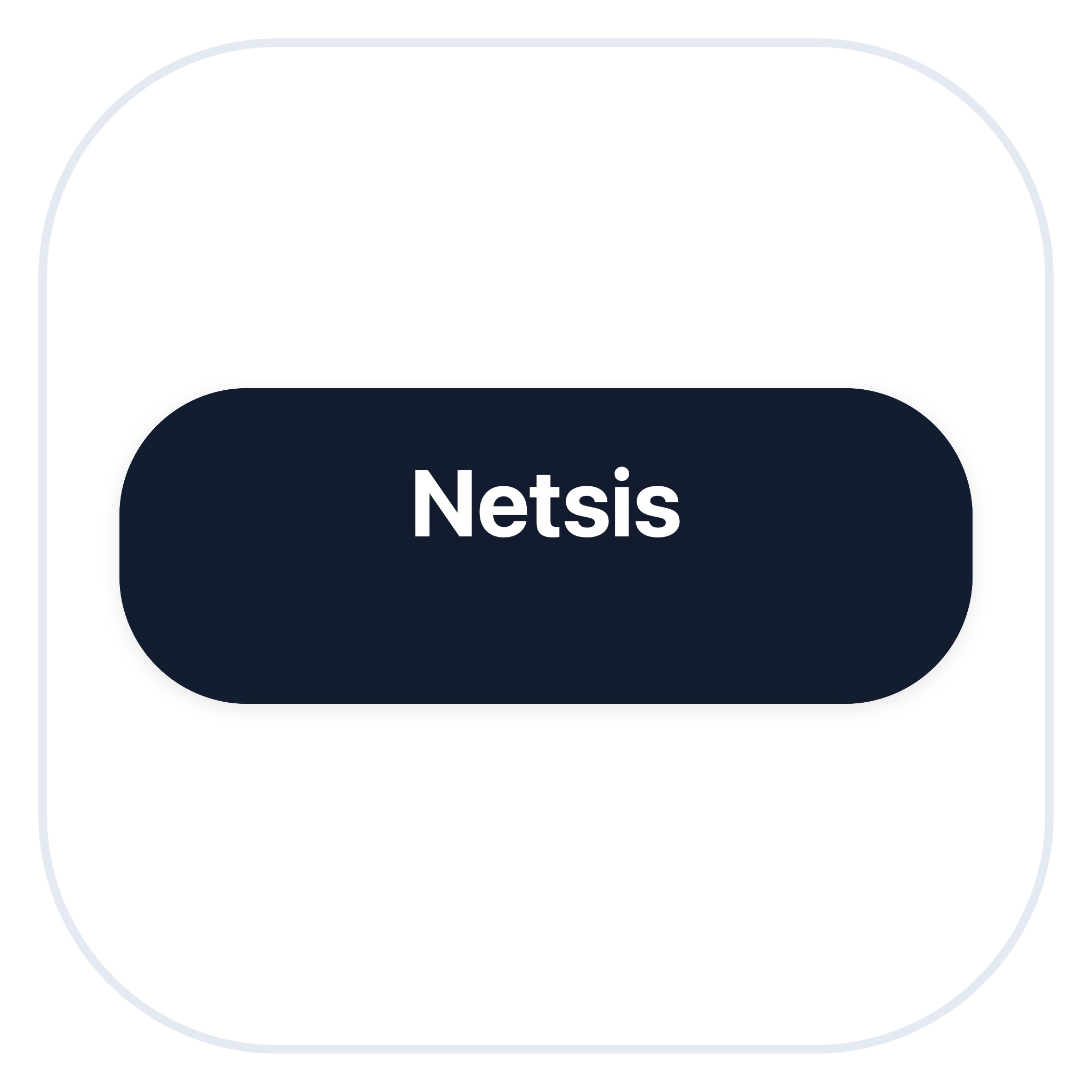 Netsis